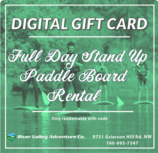 Full Day SUP Rental